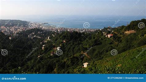 Rize stock photo. Image of coast, turkey, rize, downtown - 271246260