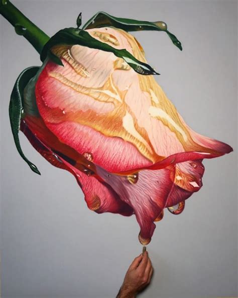 Incredibly Realistic Oil Pastel Drawings of Flowers Drenched in Golden Honey - Grand Central Floral