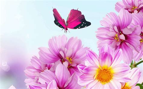 beautiful flower - wallpapers hd wallpaper for laptop wind… | Flickr