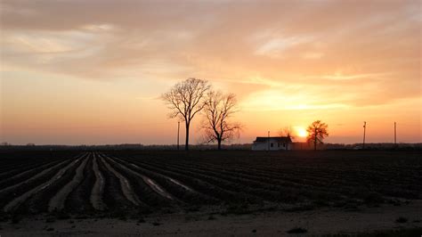 Along the Mississippi Blues trail | Fox News