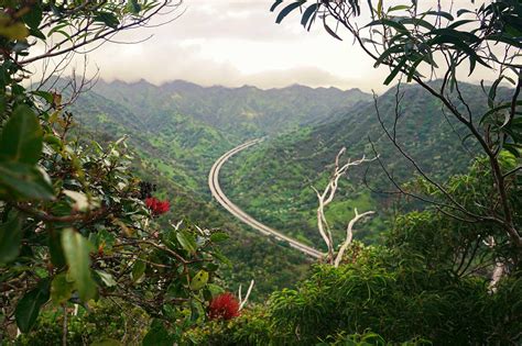 10 Best Hiking Trails in Oahu - Take a Walk Around Oahu’s Most ...