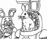 Fnaf Coloring Pages Bonnie At GetColoringscom  Free Printable sketch template