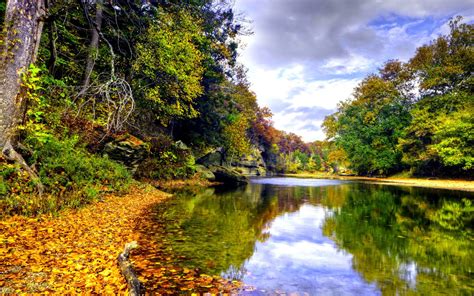 Landscape autumn-mountain river mirna-deciduous forest in autumn colors ...