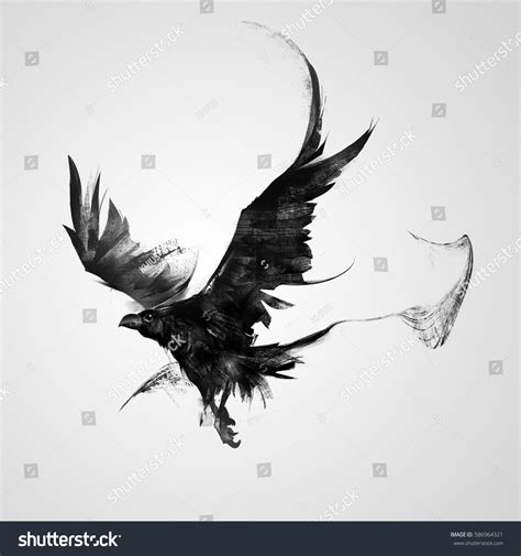 100,301 Raven Images, Stock Photos & Vectors | Shutterstock