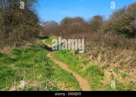 Sand dunes, Berrow Beach, Somerset, England Stock Photo - Alamy