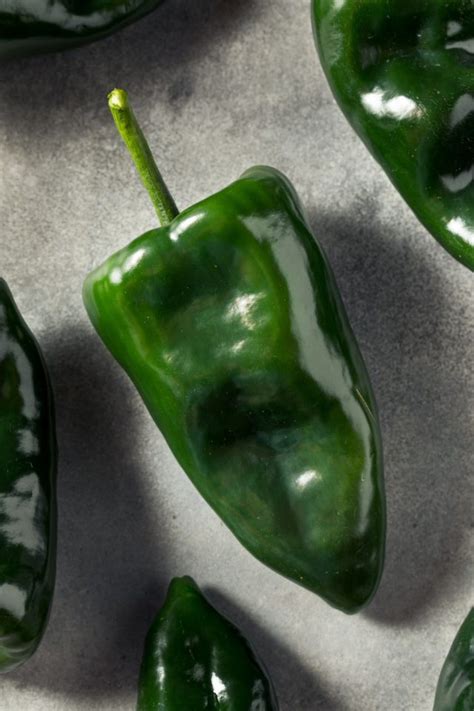 How To Store Poblano Peppers - Foodie FAQ