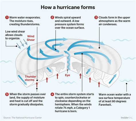 How hurricanes like Michael form | How hurricanes form, Hurricane, Wind shear