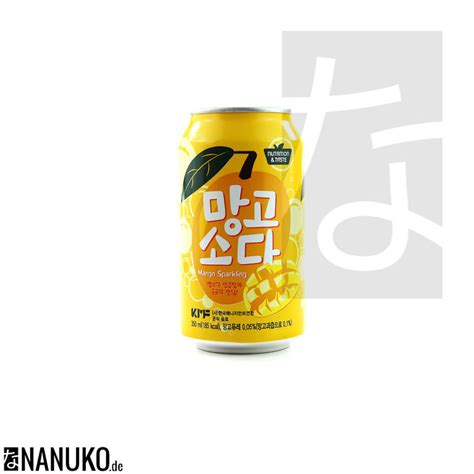 Nutrition&Taste Mango Soda 340ml | NANUKO.de