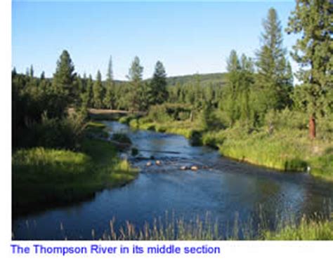 The Thompson River in Northwest Montana : Detailed Fishing Information