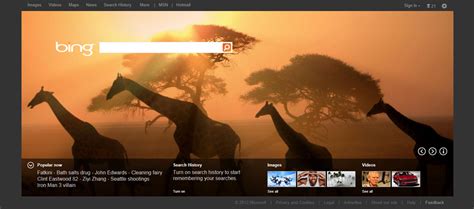 New Bing homepage goes live, now with larger featured photo and tiles - LiveSide.net