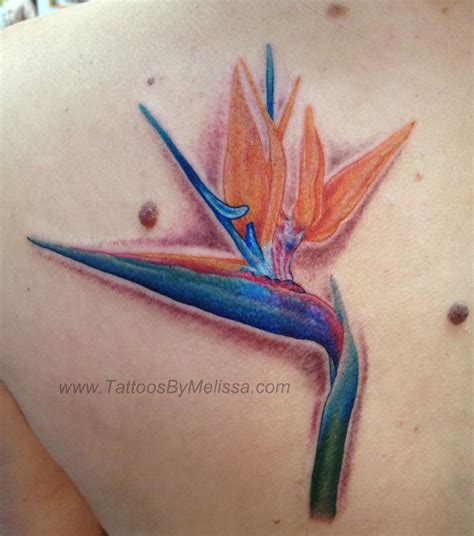 Realistic Bird Of Paradise Flower Tattoo Artist: Melissa Capo www.TattoosByMelissa.com (With ...