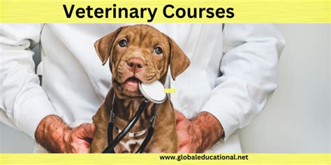 Fees for Veterinary Course-Private & Govt Colleges in India