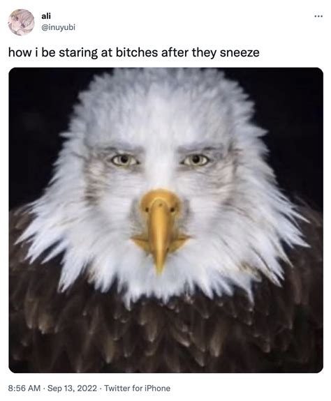 Staring Eagle Man Meme | Staring Eagle | Know Your Meme