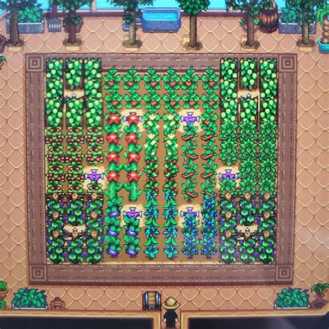 delicatezza Deviazione Allineare greenhouse stardew valley sprinkler ...