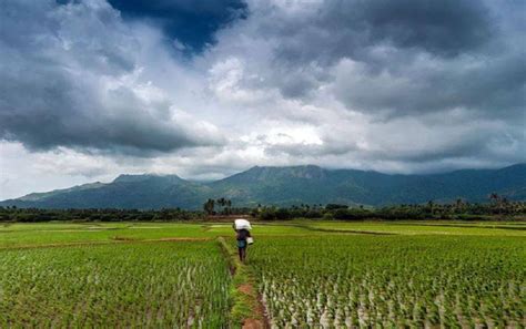 How Government is Promoting Chemical Free Natural Farming in India?