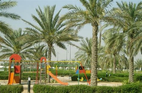 Best 5 Things to Do at Rashidiya Park Ajman