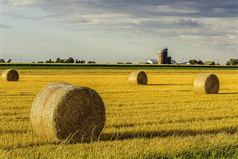 Harvesting Hay Photograph by Tom Clark - Fine Art America