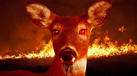 Warning: Zombie Deer Disease Could Spread To Humans Soon | Riot Fest