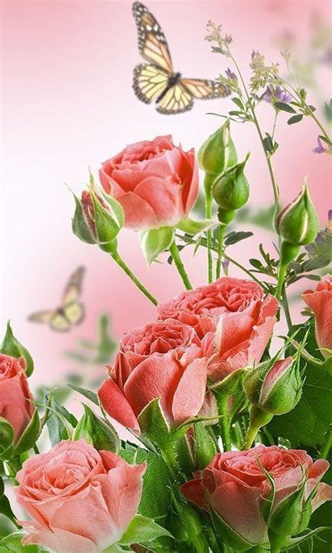 Flowers Live Wallpaper Free Android Live Wallpaper download - Appraw