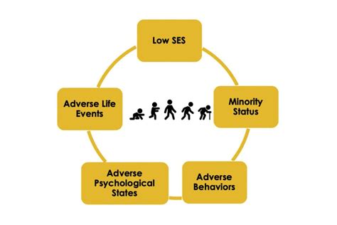 USC study: to better understand aging, study biological & social factors