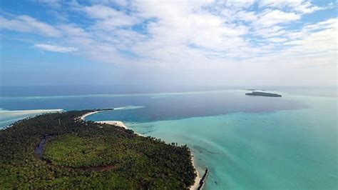 As Lakshadweep interest peaks, experts appeal for responsible tourism to protect its coral reefs