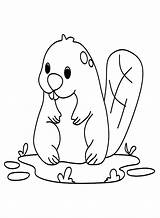 Beaver Coloring Pages  Free Printable PDF & Online sketch template
