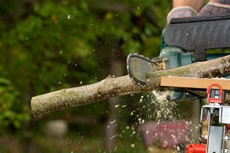 Electric Chainsaw Won't Start - Here's How to Fix It - PowerToolsAsk