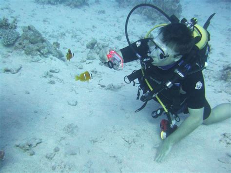 Dive photography: improving your neutral buoyancy to be a â€˜much betterâ€™ underwater ...