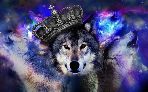 Blue Wolf Wallpapers - Wallpaper Cave