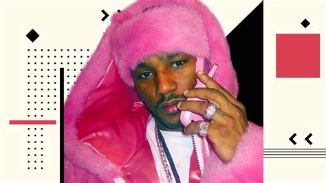 Rapper Cam’ron’s Baby Phat appearance made pink a power look for guys ...