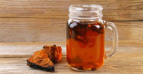 Chaga Mushroom Tea: Health Benefits and Side Effects