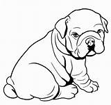 Bulldog Coloring Pages  Best For Kids Dog coloring sketch template