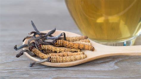 6 Benefits of Cordyceps, All Backed by Science