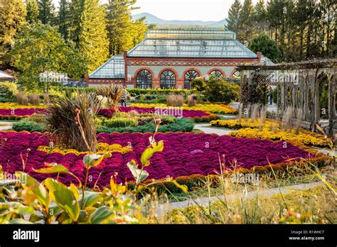 Gardens and floral in fall at Biltmore Estate, large private estate built by George Vanderbilt ...