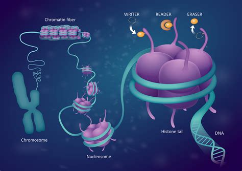 [New Artist] - Medical Illustration & Animation