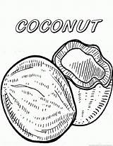 Coconut Coloring Pages sketch template