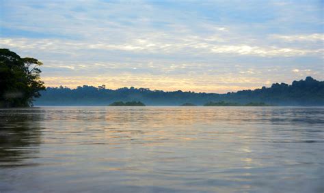 Yasuni National Park - Endangered Ecosystems - Endangered Wonders