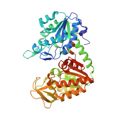 RCSB PDB - 5MXM: The X-ray structure of human M190I phosphoglycerate kinase 1 mutant