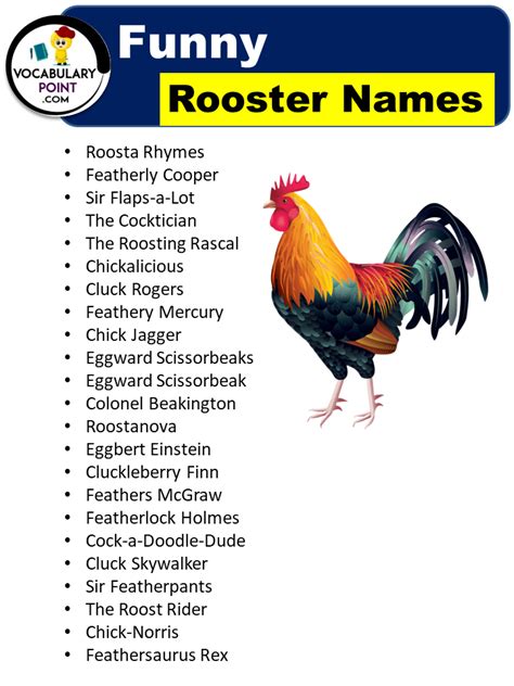 Awesome Rooster Names (400+ Best, Cute, Funny & Male) - Vocabulary Point