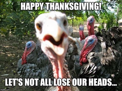 turkey memes funny - DrBeckmann