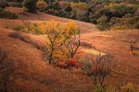 Fall in the Flint Hills – Colors of the Trees | Scott Bean Photography