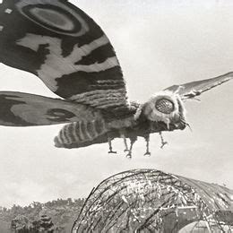 Mothra | Movie Monster Wiki | Fandom