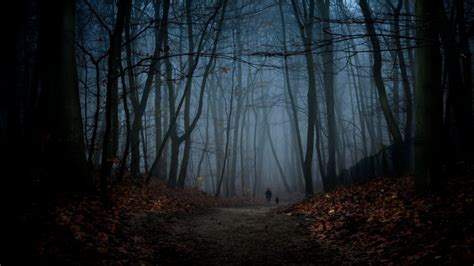 Dark Autumn Forest Wallpapers - Wallpaper Cave