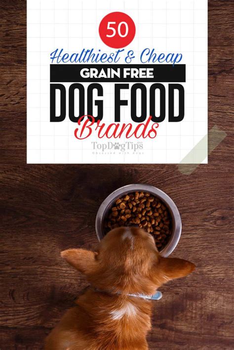 Top 50 Cheap Best Grain-Free Dog Food Brands