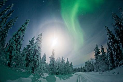 9 Reasons to Visit Lapland in Winter | Visit Finnish Lapland