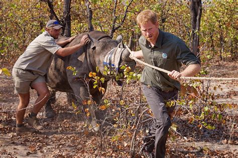 Prince Harry Appointed President of African Parks | African Parks