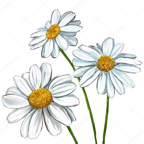 Daisy vector illustration hand drawn painted Stock Vector Image by ...