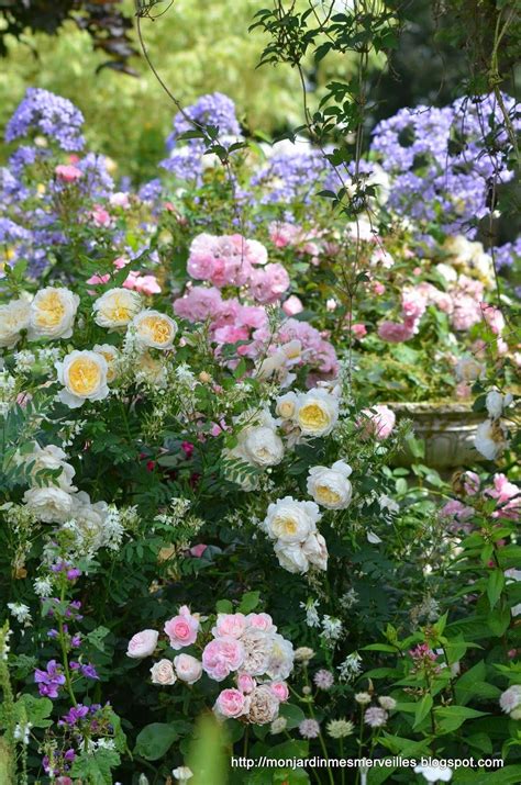 Have a garden filled with pastel Roses and more #flowersgarden | Flower garden, Cottage garden ...