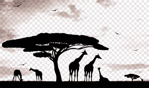 Africa Silhouette Png