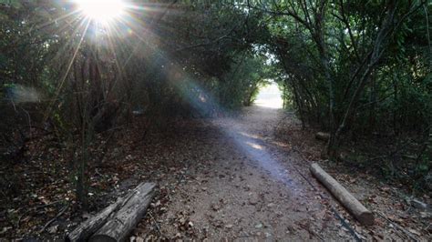 Walking/jogging trails | Archive | myaggienation.com